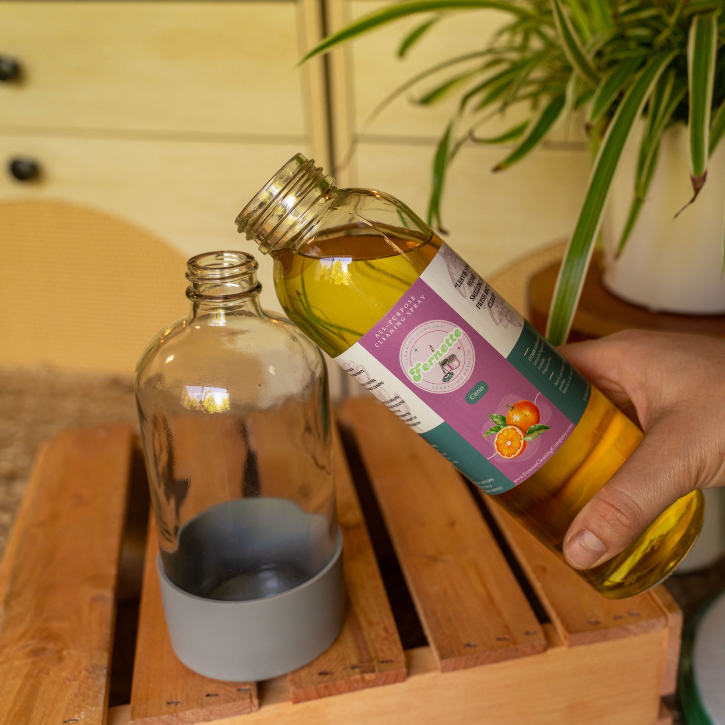 All-Purpose Cleaning Concentrates in Glass Bottle
