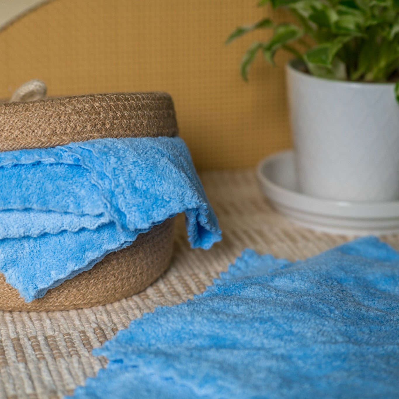 Fernette Cleaning Co Couple of Blue Towels