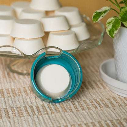 Fernette Cleaning Co Zero Waste Dish Bar